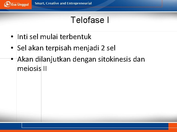 Telofase I • Inti sel mulai terbentuk • Sel akan terpisah menjadi 2 sel