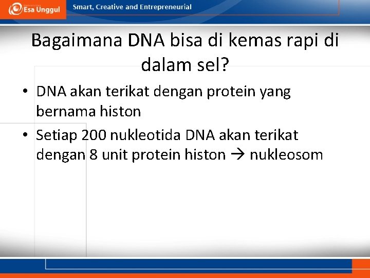 Bagaimana DNA bisa di kemas rapi di dalam sel? • DNA akan terikat dengan