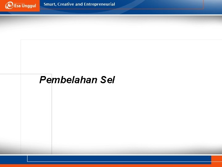 Pembelahan Sel 