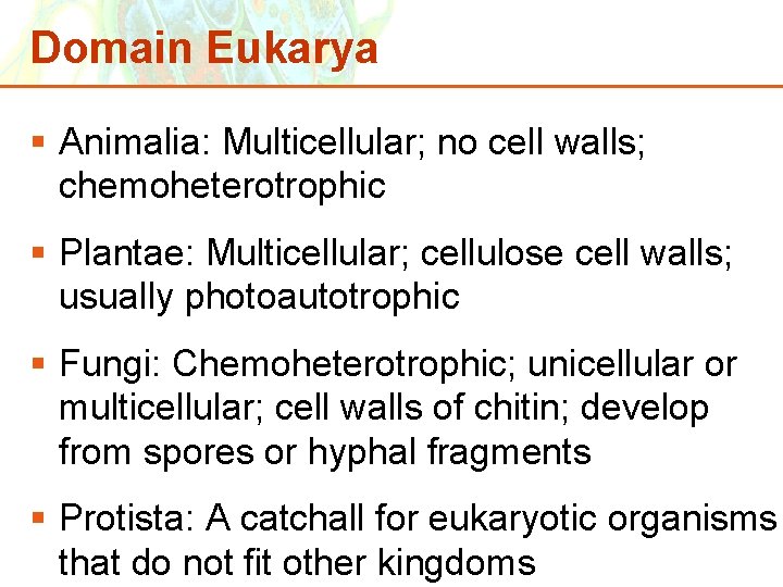 Domain Eukarya § Animalia: Multicellular; no cell walls; chemoheterotrophic § Plantae: Multicellular; cellulose cell
