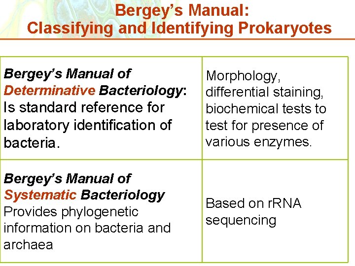 Bergey’s Manual: Classifying and Identifying Prokaryotes Bergey’s Manual of Determinative Bacteriology: Is standard reference