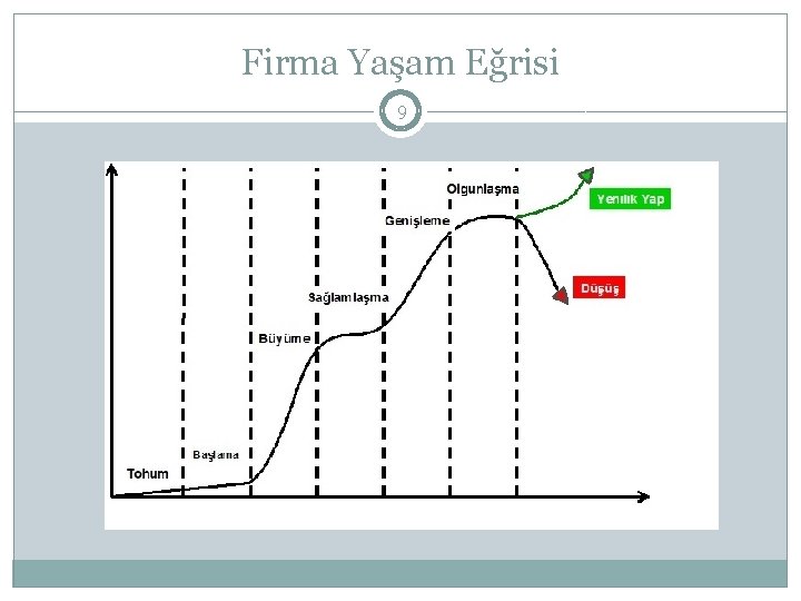 Firma Yaşam Eğrisi 9 