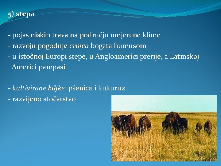 5) stepa - pojas niskih trava na području umjerene klime - razvoju pogoduje crnica