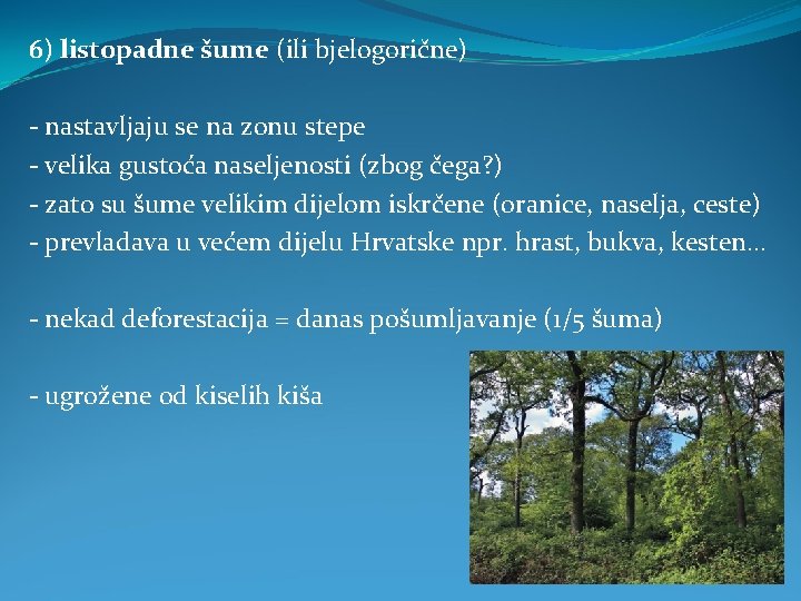 6) listopadne šume (ili bjelogorične) - nastavljaju se na zonu stepe - velika gustoća