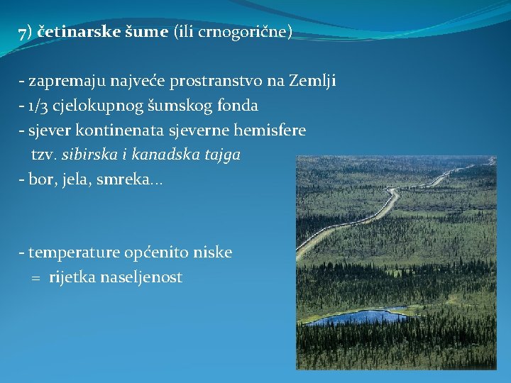 7) četinarske šume (ili crnogorične) - zapremaju najveće prostranstvo na Zemlji - 1/3 cjelokupnog