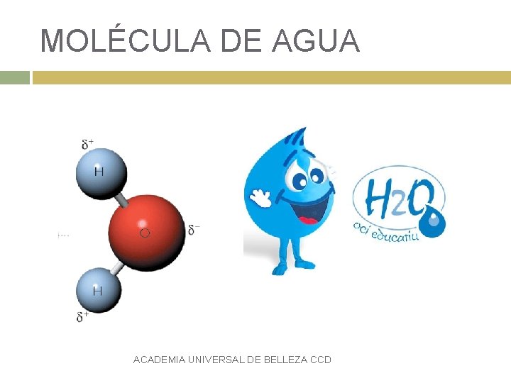 MOLÉCULA DE AGUA ACADEMIA UNIVERSAL DE BELLEZA CCD 