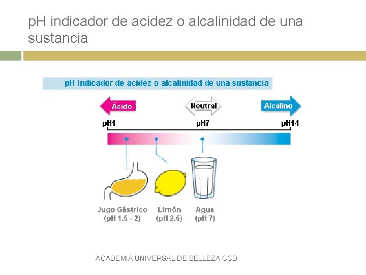 p. H indicador de acidez o alcalinidad de una sustancia ACADEMIA UNIVERSAL DE BELLEZA