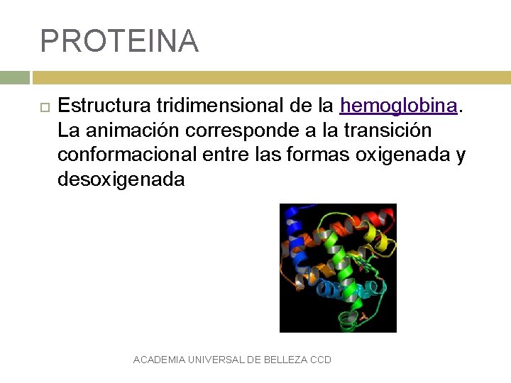 PROTEINA Estructura tridimensional de la hemoglobina. La animación corresponde a la transición conformacional entre