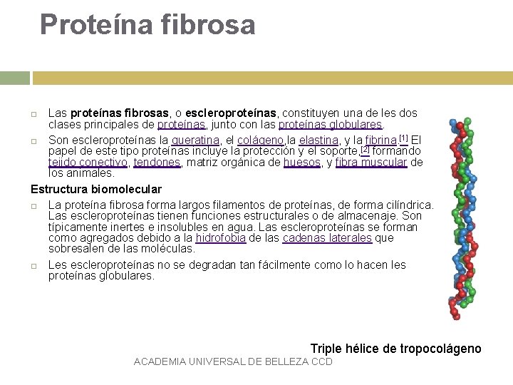 Proteína fibrosa Las proteínas fibrosas, o escleroproteínas, constituyen una de les dos clases principales