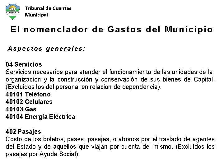 Tribunal de Cuentas Municipal El nomenclador de Gastos del Municipio Aspectos generales: 04 Servicios