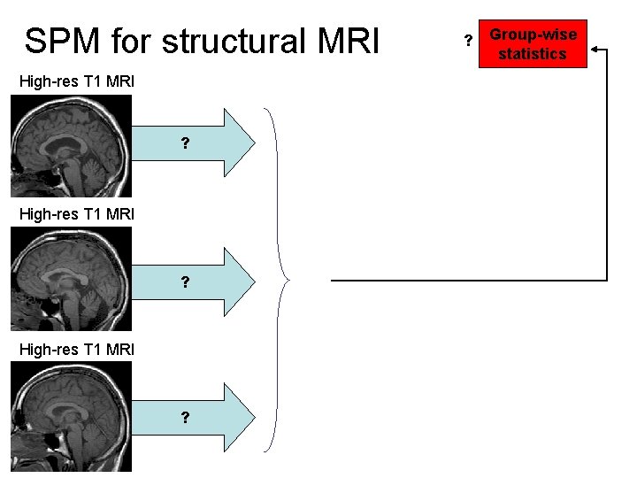 SPM for structural MRI High-res T 1 MRI ? ? Group-wise statistics 