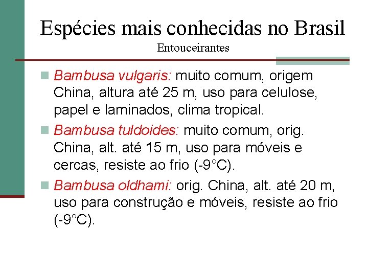 Espécies mais conhecidas no Brasil Entouceirantes n Bambusa vulgaris: muito comum, origem China, altura