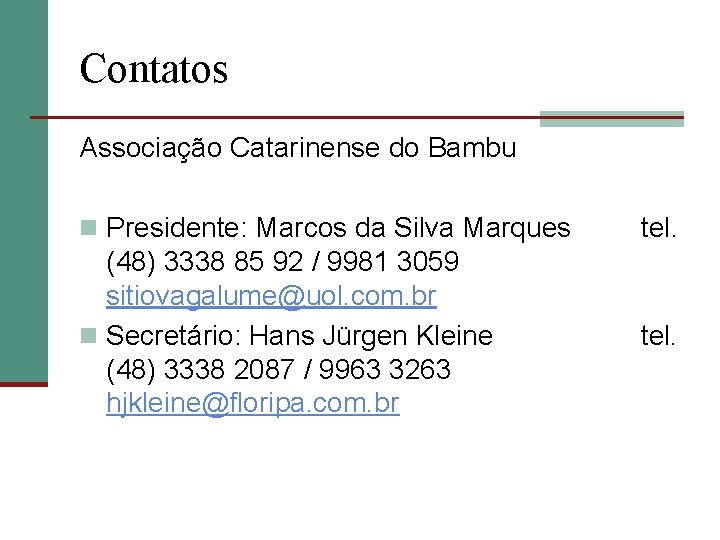 Contatos Associação Catarinense do Bambu n Presidente: Marcos da Silva Marques tel. (48) 3338