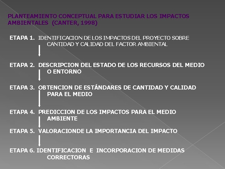 PLANTEAMIENTO CONCEPTUAL PARA ESTUDIAR LOS IMPACTOS AMBIENTALES (CANTER, 1998) ETAPA 1. IDENTIFICACION DE LOS