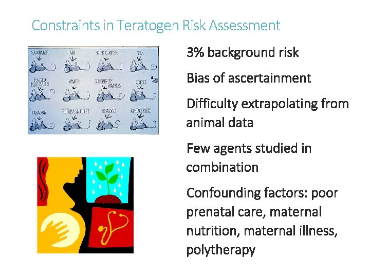 Constraints in Teratogen Risk Assessment 3% background risk Bias of ascertainment Difficulty extrapolating from