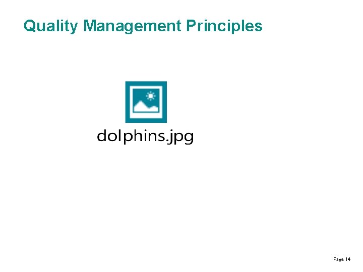 Quality Management Principles Page 14 