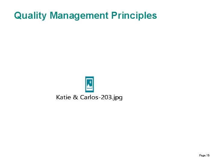 Quality Management Principles Page 15 