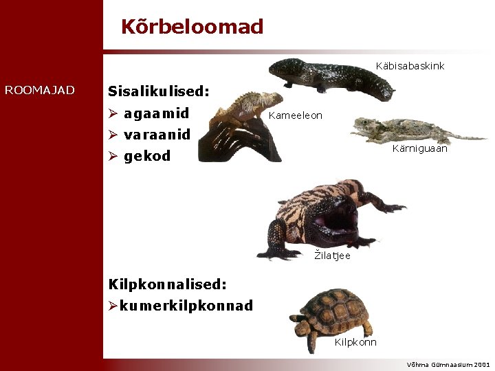 Kõrbeloomad Käbisabaskink ROOMAJAD Sisalikulised: Ø agaamid Kameeleon Ø varaanid Kärniguaan Ø gekod Žilatjee Kilpkonnalised: