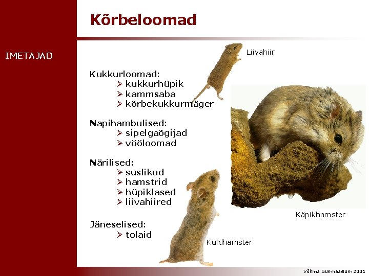 Kõrbeloomad Liivahiir IMETAJAD Kukkurloomad: Ø kukkurhüpik Ø kammsaba Ø kõrbekukkurmäger Napihambulised: Ø sipelgaõgijad Ø