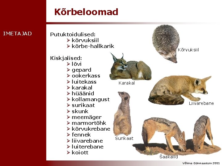 Kõrbeloomad IMETAJAD Putuktoidulised: Ø kõrvuksiil Ø kõrbe-hallkarik Kiskjalised: Ø lõvi Ø gepard Ø ookerkass