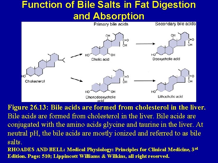 Function of Bile Salts in Fat Digestion and Absorption Figure 26. 13: Bile acids