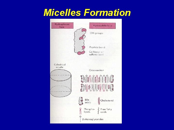 Micelles Formation 
