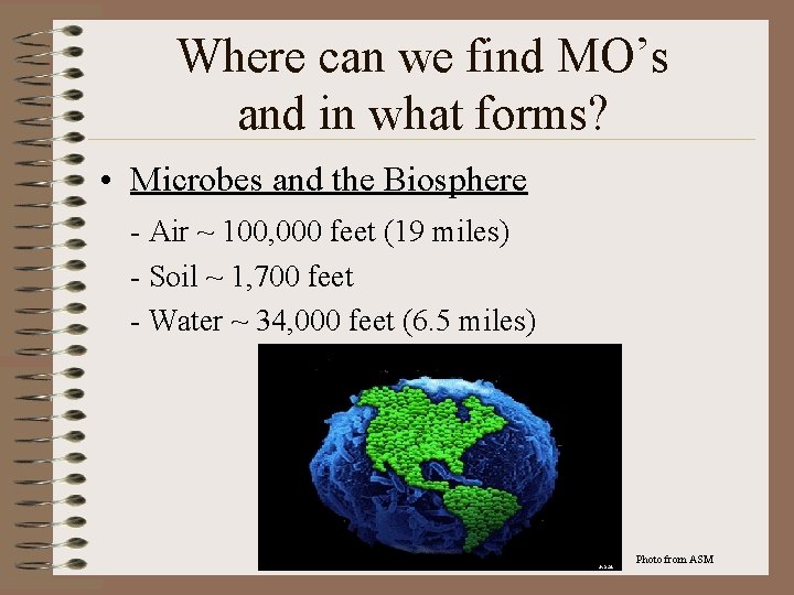 Where can we find MO’s and in what forms? • Microbes and the Biosphere