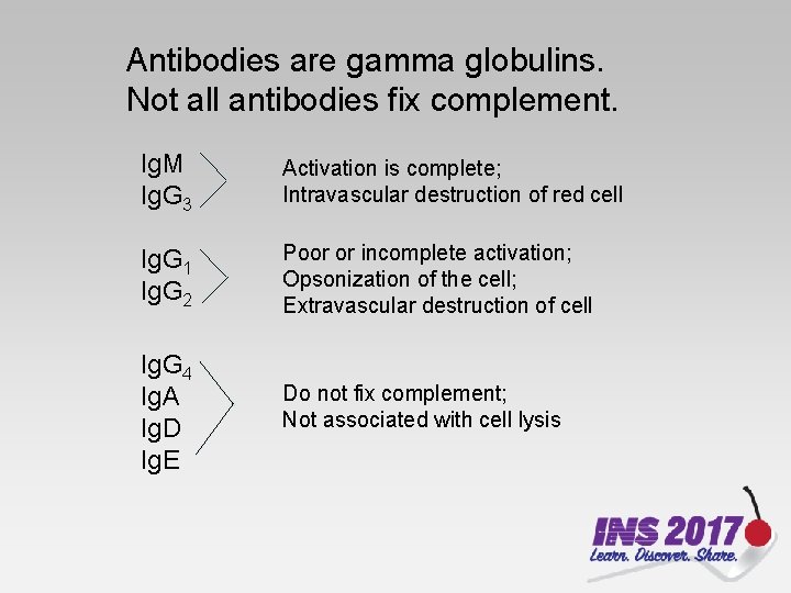 Antibodies are gamma globulins. Not all antibodies fix complement. Ig. M Ig. G 3