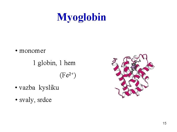 Myoglobin • monomer 1 globin, 1 hem (Fe 2+) • vazba kyslíku • svaly,