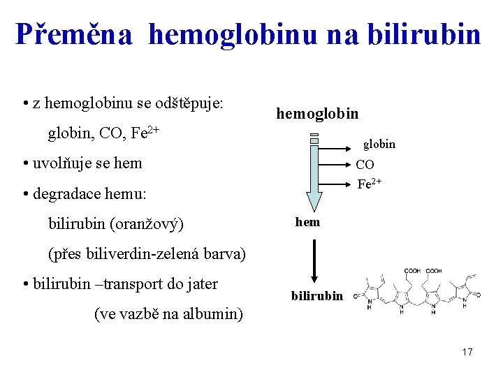 Přeměna hemoglobinu na bilirubin • z hemoglobinu se odštěpuje: hemoglobin, CO, Fe 2+ globin