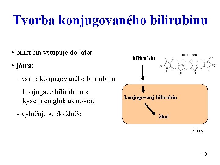 Tvorba konjugovaného bilirubinu • bilirubin vstupuje do jater • játra: bilirubin - vznik konjugovaného