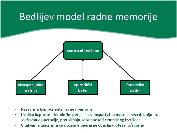 Bedlijev model radne memorije centralni izvršilac vizuspacijalna matrica epizodički bafer fonološka petlja • Nezavisne