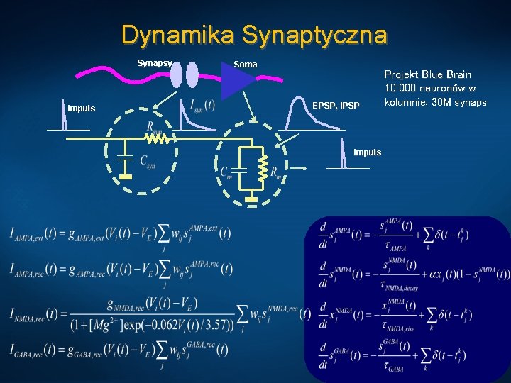 Dynamika Synaptyczna Synapsy Impuls Soma EPSP, IPSP Impuls Projekt Blue Brain 10 000 neuronów