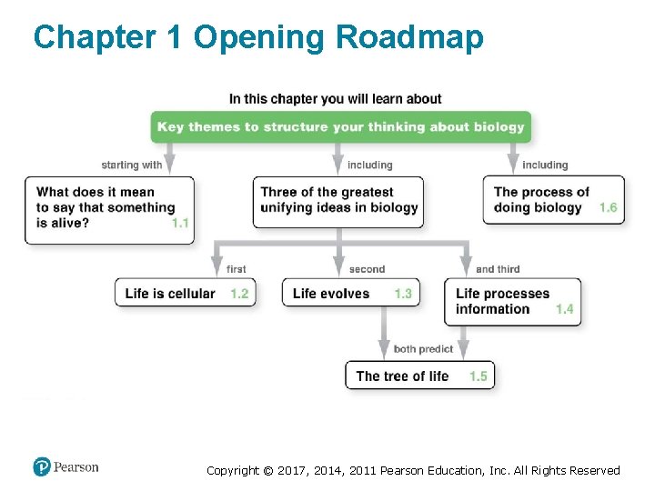 Chapter 1 Opening Roadmap Copyright © 2017, 2014, 2011 Pearson Education, Inc. All Rights