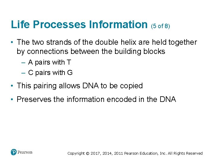 Life Processes Information (5 of 8) • The two strands of the double helix