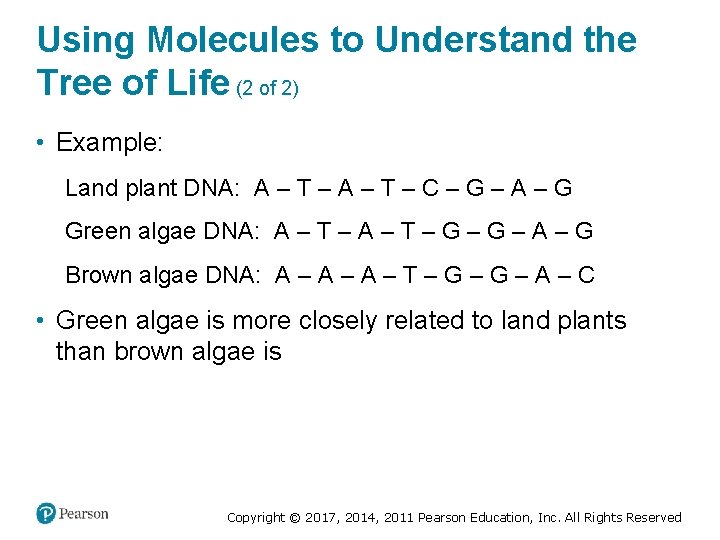 Using Molecules to Understand the Tree of Life (2 of 2) • Example: Land