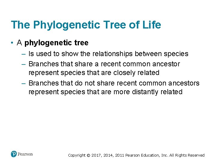 The Phylogenetic Tree of Life • A phylogenetic tree – Is used to show