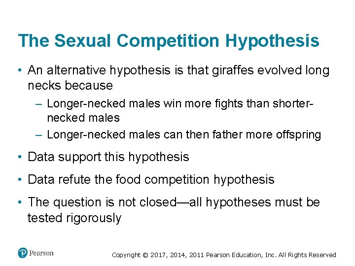 The Sexual Competition Hypothesis • An alternative hypothesis is that giraffes evolved long necks