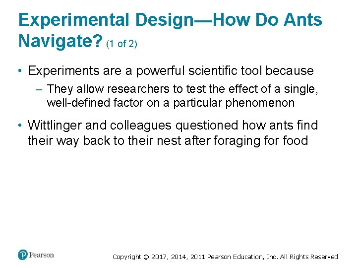 Experimental Design—How Do Ants Navigate? (1 of 2) • Experiments are a powerful scientific