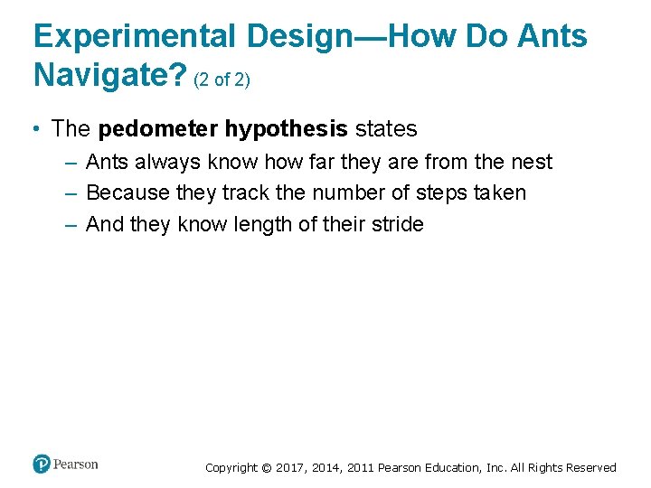 Experimental Design—How Do Ants Navigate? (2 of 2) • The pedometer hypothesis states –