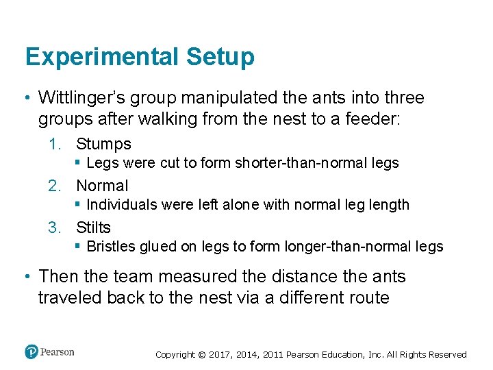 Experimental Setup • Wittlinger’s group manipulated the ants into three groups after walking from