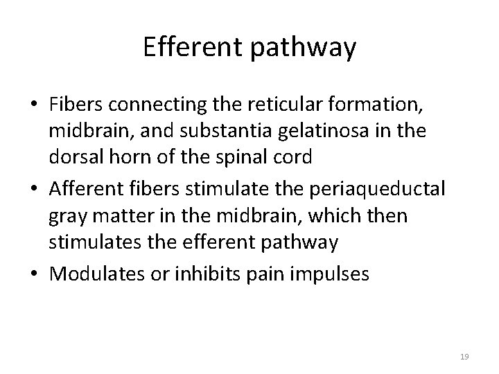 Efferent pathway • Fibers connecting the reticular formation, midbrain, and substantia gelatinosa in the