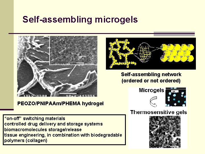 Self-assembling microgels Self-assembling network (ordered or not ordered) PEOZO/PNIPAAm/PHEMA hydrogel “on-off” switching materials controlled