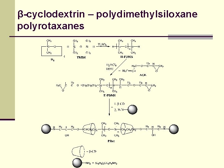 β-cyclodextrin – polydimethylsiloxane polyrotaxanes 