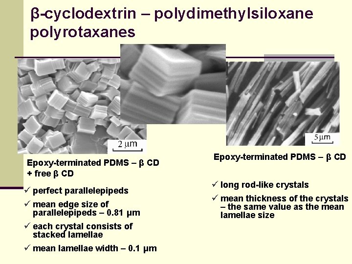 β-cyclodextrin – polydimethylsiloxane polyrotaxanes Epoxy-terminated PDMS – β CD + free β CD ü