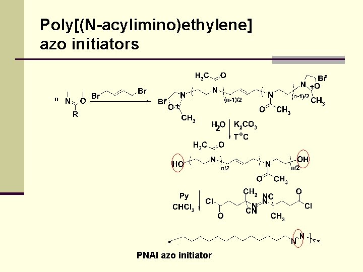 Poly[(N-acylimino)ethylene] azo initiators PNAI azo initiator 