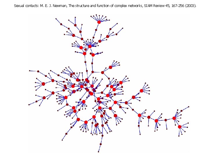 Sexual contacts: M. E. J. Newman, The structure and function of complex networks, SIAM
