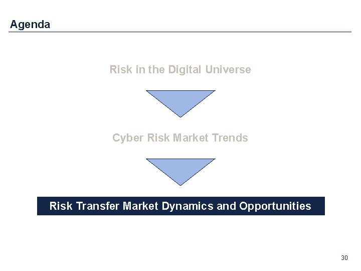 Agenda Risk in the Digital Universe Cyber Risk Market Trends Risk Transfer Market Dynamics