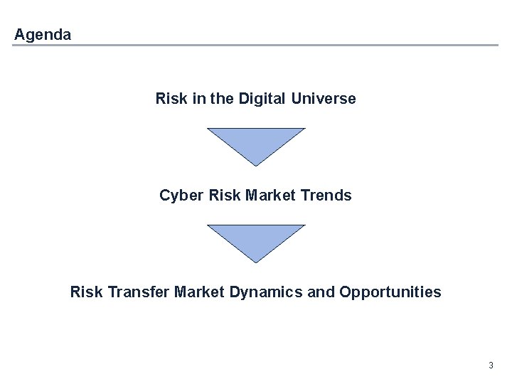 Agenda Risk in the Digital Universe Cyber Risk Market Trends Risk Transfer Market Dynamics