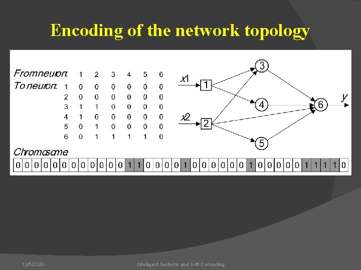 Encoding of the network topology 12/5/2020 Intelligent Systems and Soft Computing 